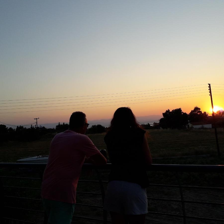 Garden'S Sunset Αvra Apartment Nea Michaniona Bagian luar foto